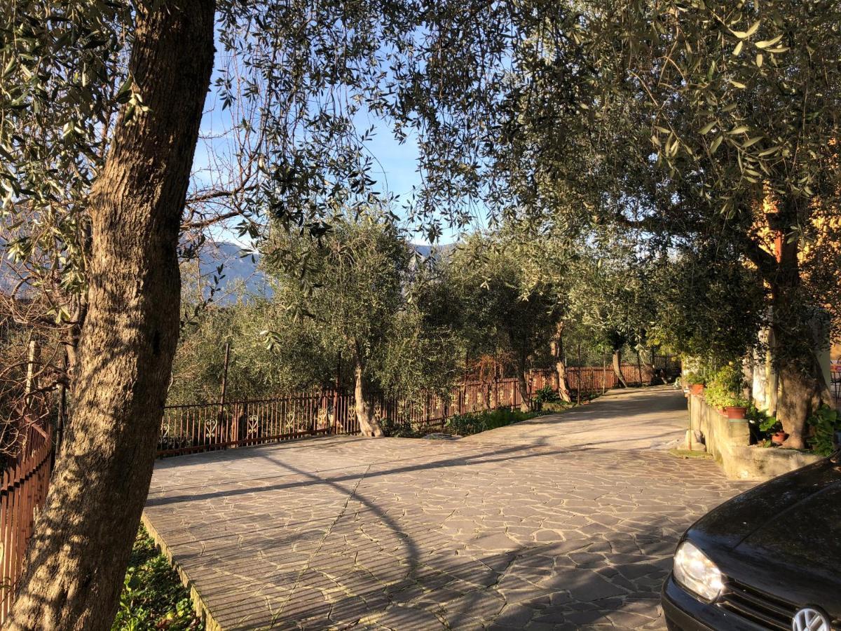 Appartamento Nonna Rosa Malcesine Exterior foto